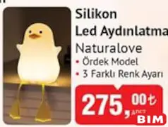 NATURALOVE SİLİKON LED AYDINLATMA